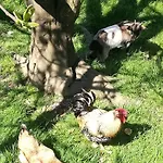 Séjour à la campagne Altzibar-berri