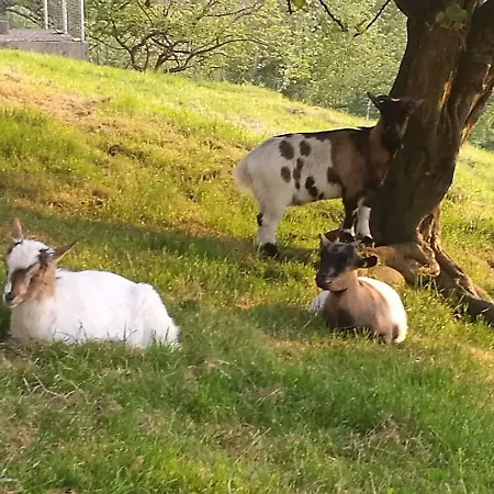 Casa de Campo Altzibar-berri